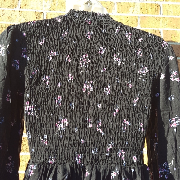 Wild Fable - Picture 8 of 8